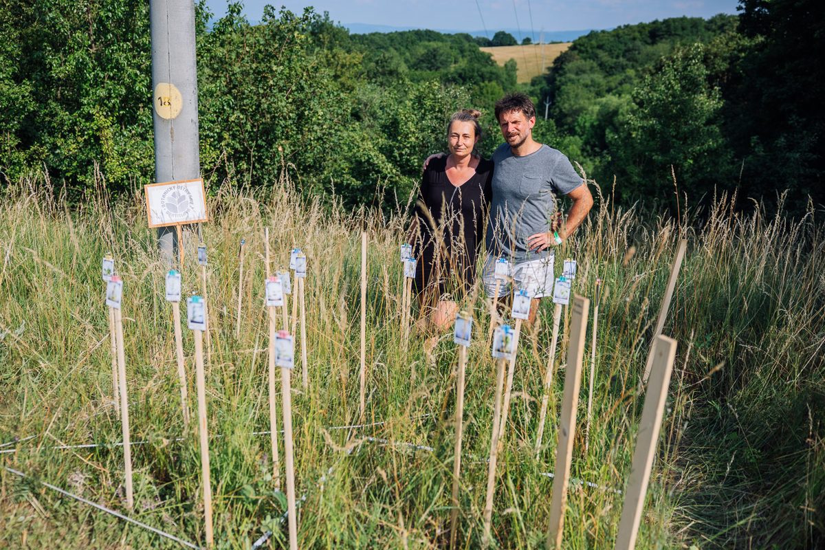 Pastviny v pasci starostlivosti — Katarína Skokanová a Andrej Belák, festival Kvantum 2026